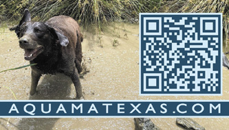 Pet Services Paws In Paradise Central Texas Pet Cremation